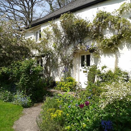 Tracebridge Cottage B&B Stawley Exteriér fotografie