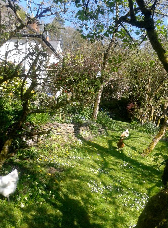 Tracebridge Cottage B&B Stawley Exteriér fotografie