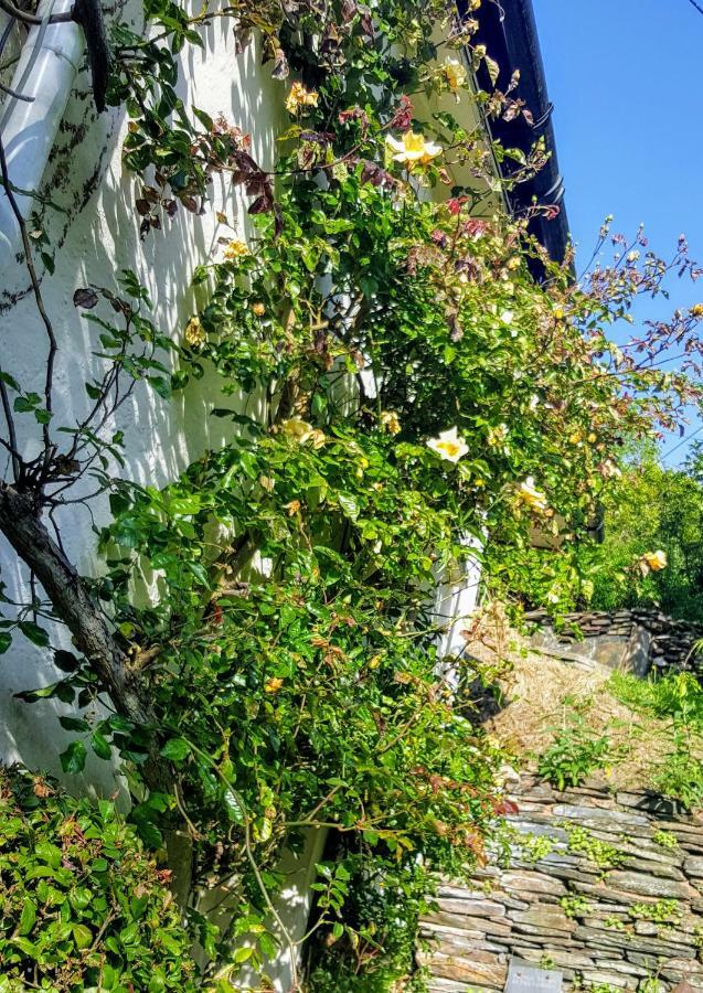 Tracebridge Cottage B&B Stawley Exteriér fotografie